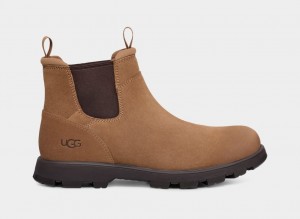 Buty Chelsea Męskie Ugg Hillmont Brązowe | XZR-360175