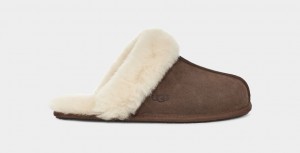 Kapcie Damskie Ugg Scuffette II Brązowe | ZQS-289573