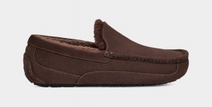 Kapcie Męskie Ugg Ascot Brązowe | ECZ-402573