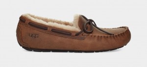 Kapcie Męskie Ugg Olsen Brązowe | UVB-137465