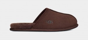 Kapcie Męskie Ugg Scuff Brązowe | BXR-685702