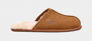 Kapcie Męskie Ugg Scuff Brązowe | EYC-346851