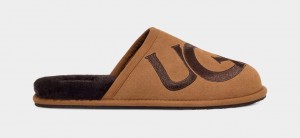 Kapcie Męskie Ugg Scuff Logo II Brązowe | YJQ-356897