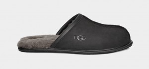 Kapcie Męskie Ugg Scuff Skórzane Czarne | FOP-924087