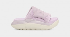 Klapki Damskie Ugg LA Cloud Lawenda | OLR-214038