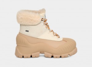 Kozaki Damskie Ugg Adiroam Hiker Khaki Białe | KJC-958671