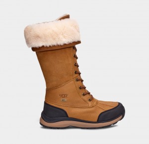 Kozaki Damskie Ugg Adirondack III Wysokie Brązowe | RAG-857129