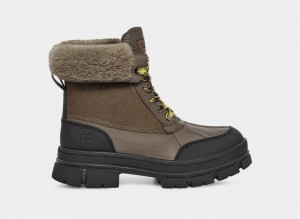 Kozaki Damskie Ugg Ashton Addie Szare | HKP-538192