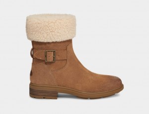 Kozaki Damskie Ugg Harrison Cuff Brązowe | PIS-369102