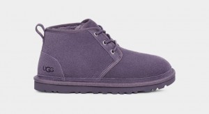 Kozaki Damskie Ugg Neumel Fioletowe | GTU-914537