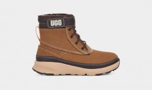 Kozaki Dziecięce Ugg Arren Weather Brązowe | PZE-098542