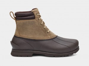 Kozaki Męskie Ugg Gatson Mid Brązowe | PYM-579024