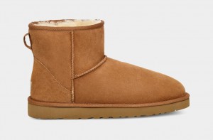 Kozaki Męskie Ugg Klasyczne Mini Brązowe | AUD-920731