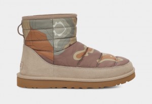 Kozaki Męskie Ugg Klasyczne Mini LTA Calio Czekolada | EXI-836059