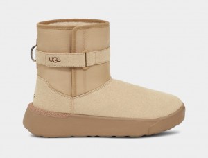 Kozaki Męskie Ugg Klasyczne S Brązowe | FBE-568231