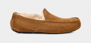 Mokasyny Męskie Ugg Ascot Brązowe | RIS-460573