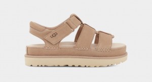 Sandały Damskie Ugg Goldenstar Paskiem Brązowe | VRA-871065