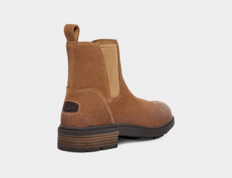 Buty Chelsea Damskie Ugg Harrison Brązowe | XQS-653297