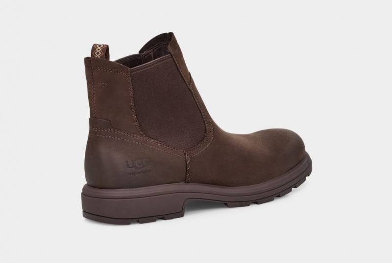 Buty Chelsea Męskie Ugg Biltmore Brązowe | MEY-869250