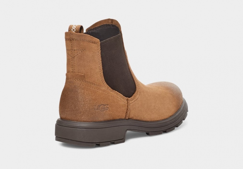 Buty Chelsea Męskie Ugg Biltmore Brązowe | ESD-034687