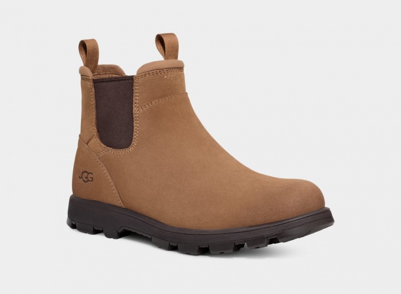 Buty Chelsea Męskie Ugg Hillmont Brązowe | XZR-360175