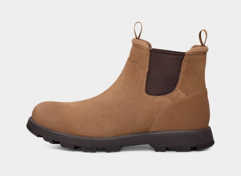 Buty Chelsea Męskie Ugg Hillmont Brązowe | XZR-360175