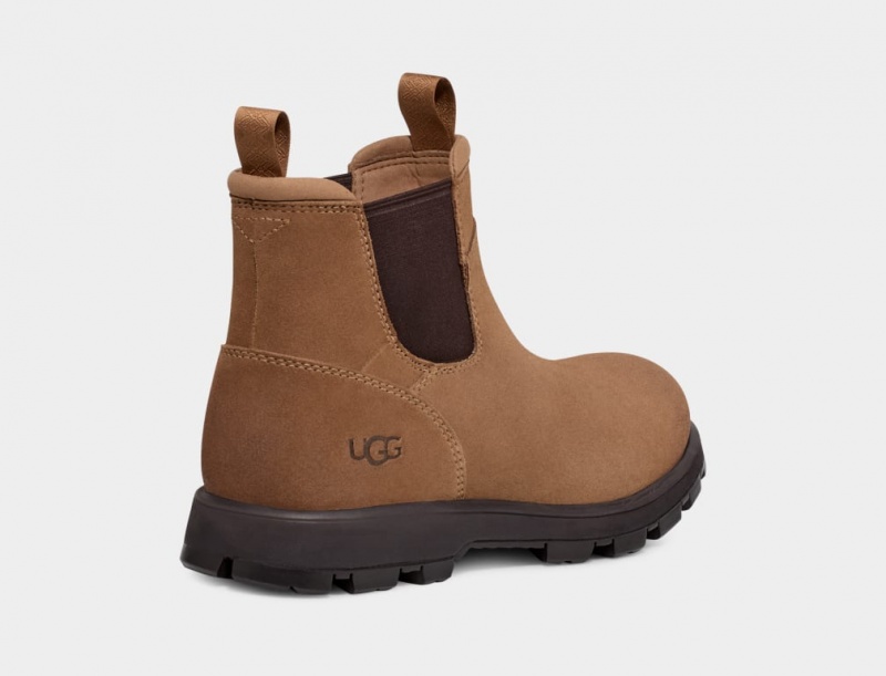 Buty Chelsea Męskie Ugg Hillmont Brązowe | XZR-360175