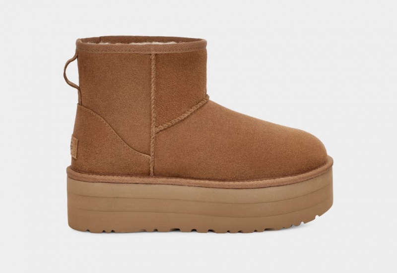 Buty na Platformie Damskie Ugg Klasyczne Mini Brązowe | HYM-570816