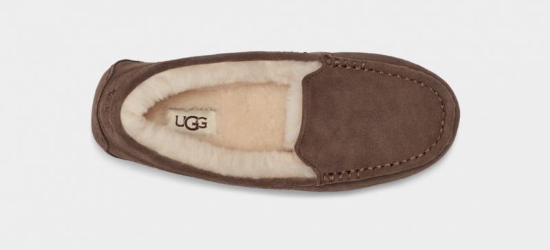 Kapcie Damskie Ugg Ansley Szare | AUV-182649