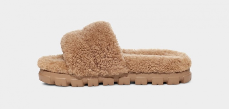 Kapcie Damskie Ugg Cozetta Curly Brązowe | BMT-961574