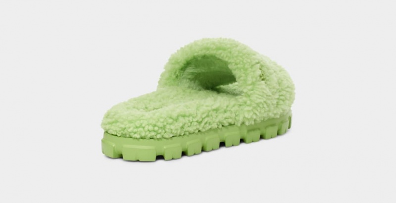 Kapcie Damskie Ugg Cozetta Curly Zielone | TLG-348902