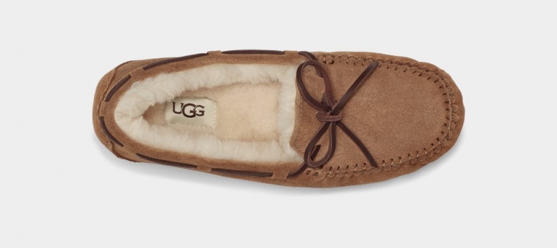 Kapcie Damskie Ugg Dakota Brązowe | QMT-268371