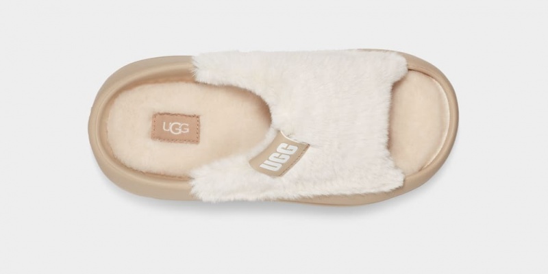 Kapcie Damskie Ugg FoamOplush Musztardowe | TCS-694728