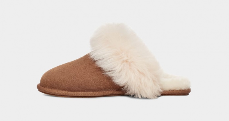 Kapcie Damskie Ugg Scuff Sis Brązowe | DMJ-794235