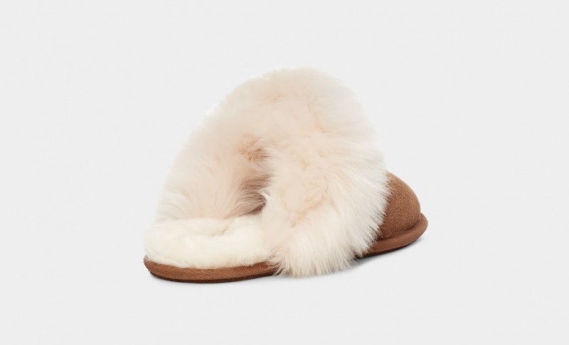 Kapcie Damskie Ugg Scuff Sis Brązowe | DMJ-794235