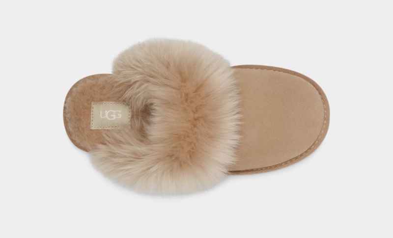 Kapcie Damskie Ugg Scuff Sis Brązowe | JUE-318695