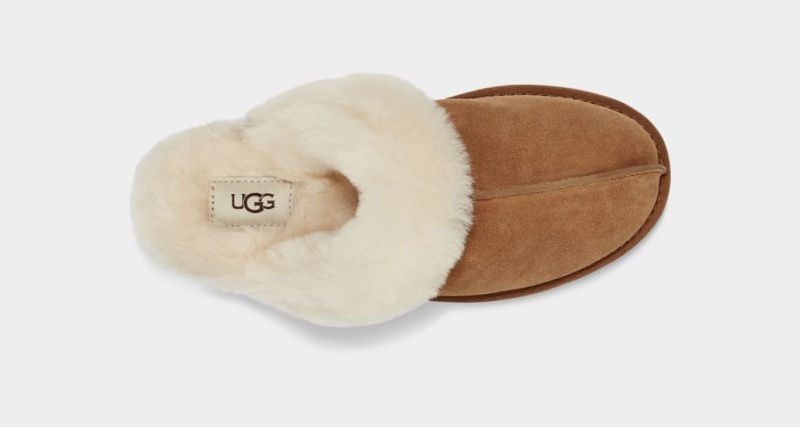 Kapcie Damskie Ugg Scuffette II Brązowe | QKF-725183