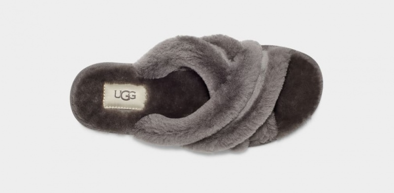 Kapcie Damskie Ugg Scuffita Szare | MYZ-097132