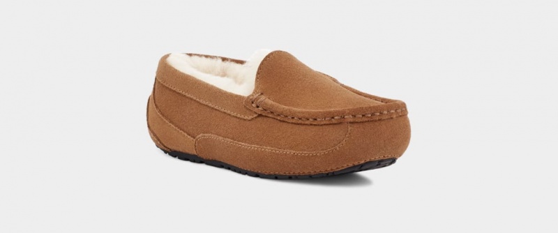 Kapcie Dziecięce Ugg Ascot Brązowe | ZYN-641908