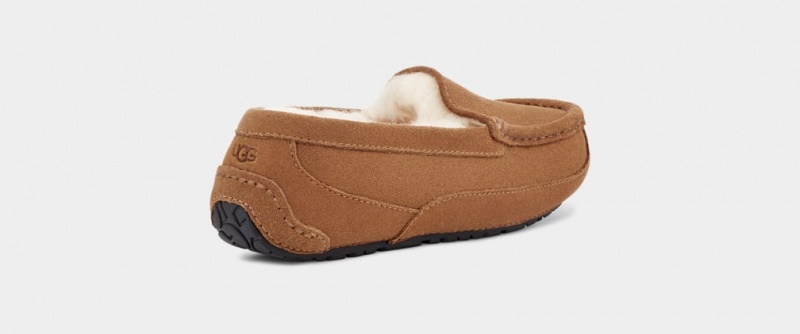 Kapcie Dziecięce Ugg Ascot Brązowe | ZYN-641908