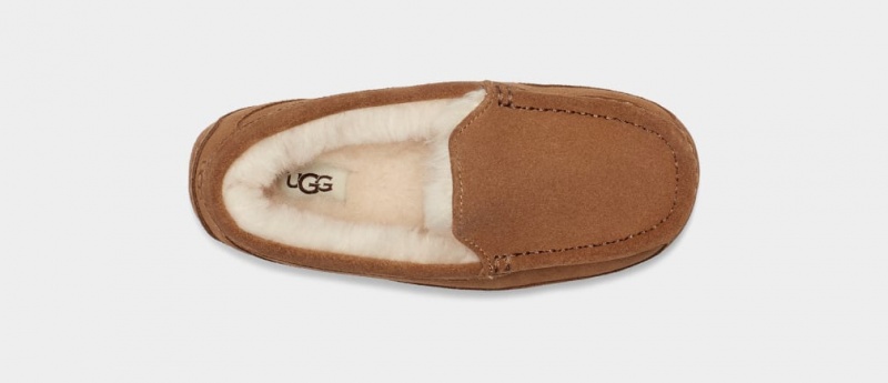 Kapcie Dziecięce Ugg Ascot Brązowe | ZYN-641908