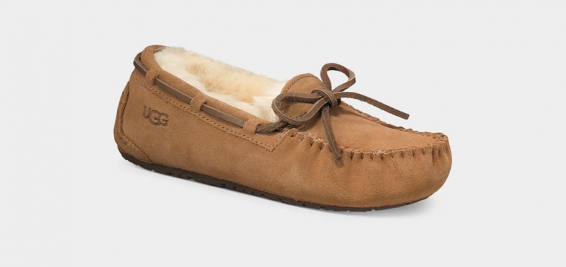 Kapcie Dziecięce Ugg Dakota Brązowe | NBR-468930