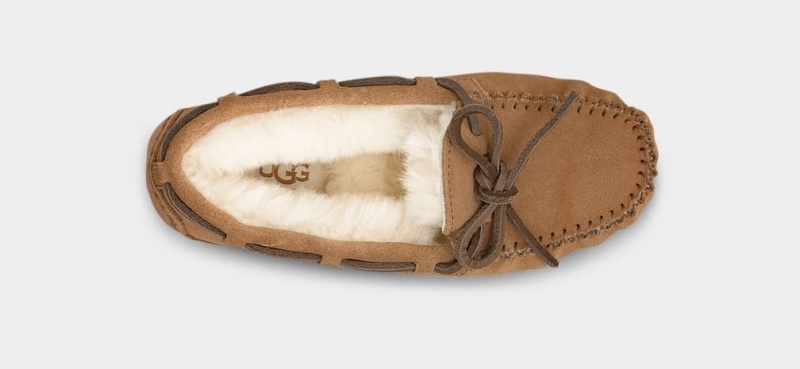 Kapcie Dziecięce Ugg Dakota Brązowe | NBR-468930