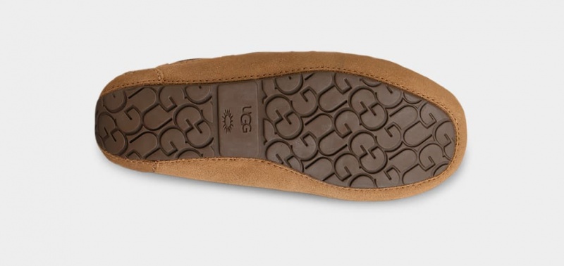 Kapcie Dziecięce Ugg Dakota Brązowe | NBR-468930