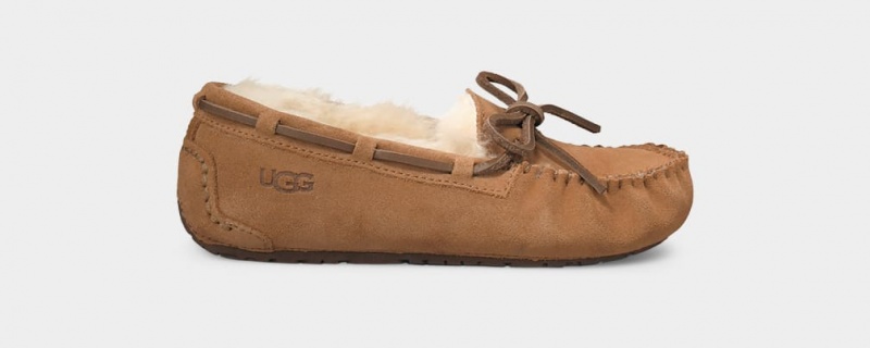 Kapcie Dziecięce Ugg Dakota Brązowe | NBR-468930