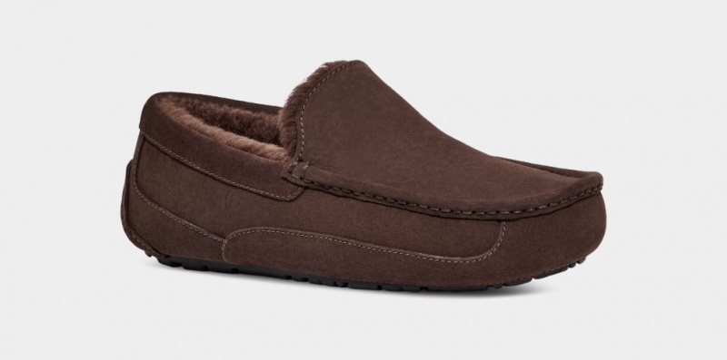 Kapcie Męskie Ugg Ascot Brązowe | ECZ-402573