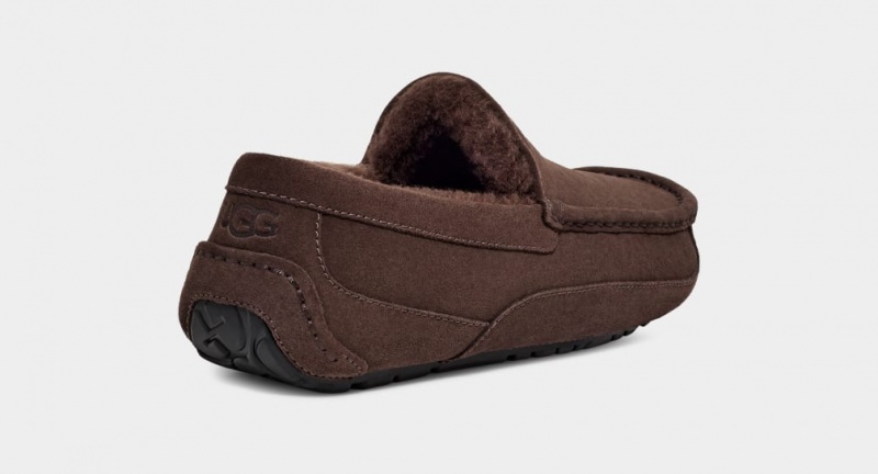 Kapcie Męskie Ugg Ascot Brązowe | ECZ-402573