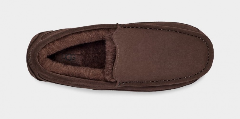 Kapcie Męskie Ugg Ascot Brązowe | ECZ-402573