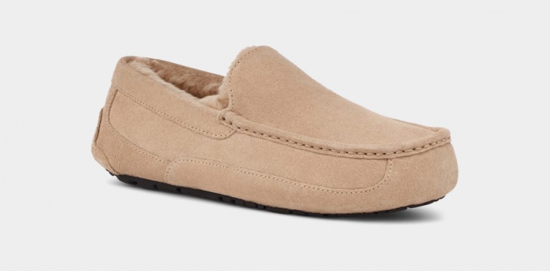 Kapcie Męskie Ugg Ascot Brązowe | JFR-835027