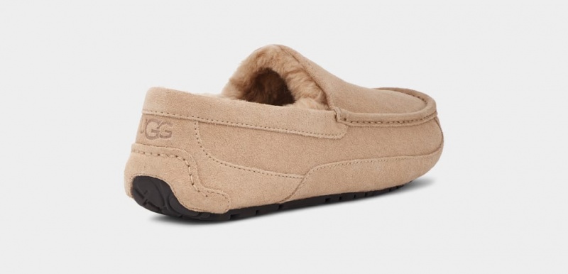 Kapcie Męskie Ugg Ascot Brązowe | JFR-835027